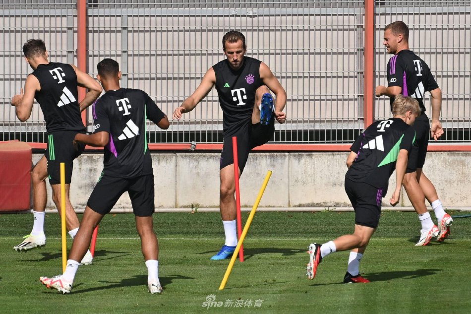 球数占总进 球数占总进